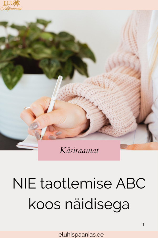 NIE numbri käsiraamat (Número de Identificación de Extranjero)